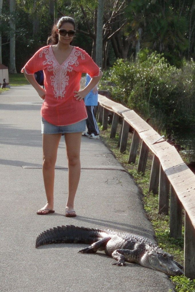 Seriously lady? He make look chill, but he didn't survive 60 million years without being able to fight.