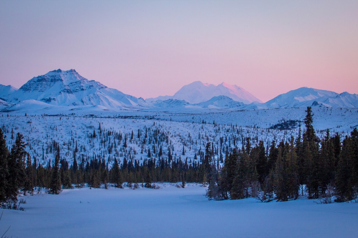 Denali in the winter