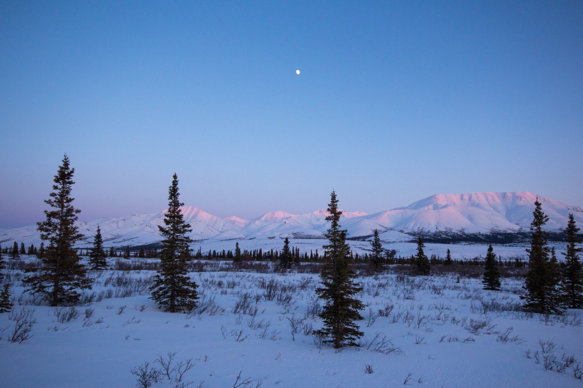 Savage River area in winter