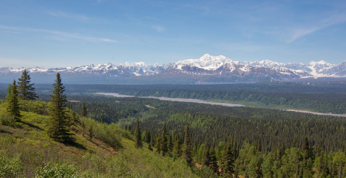 Mt. McKinley from Denali state park