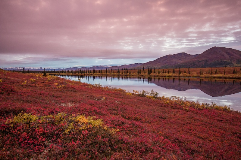 Fall colors and lake at Broad Pass