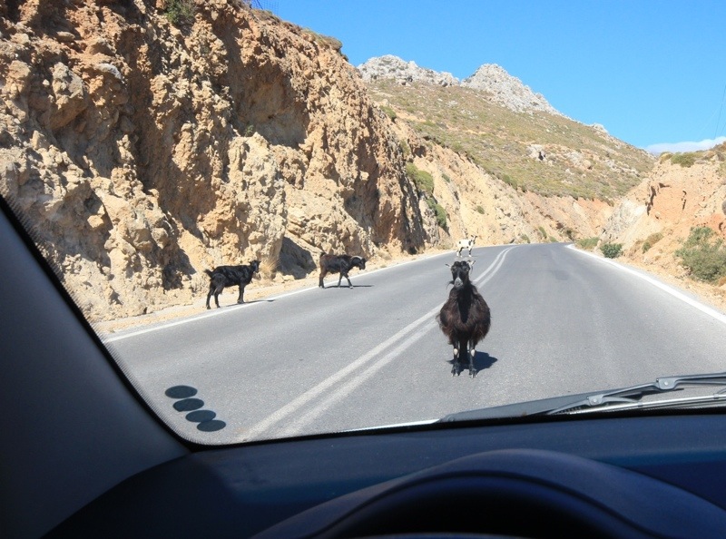 Goat Crete Road Rental CAr