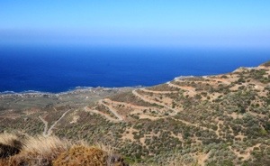Winding Road on the drive to Elafonsi