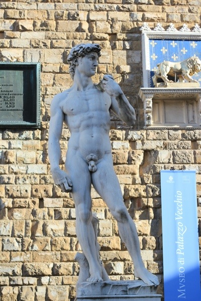 David Statue Penis