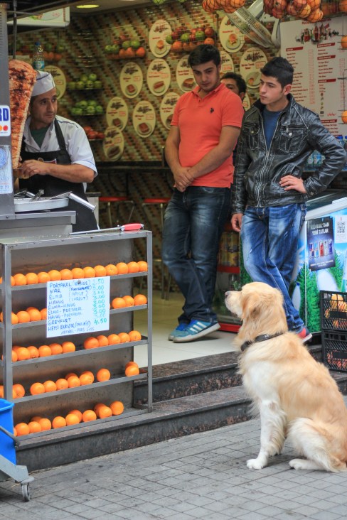 Doner Kebab in Turkey