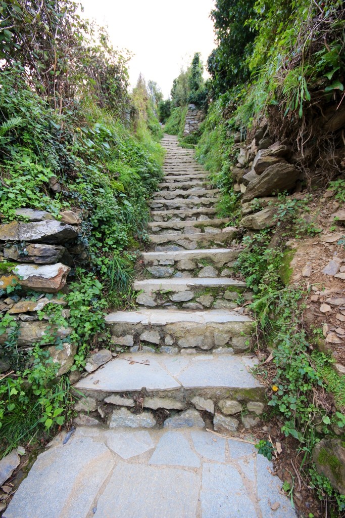 Cinque Terra Steps on the Hiking Trail