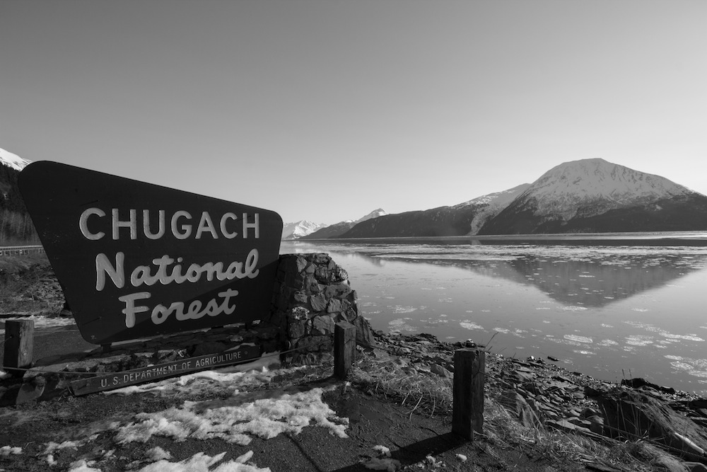 Chugach National Forest Sign
