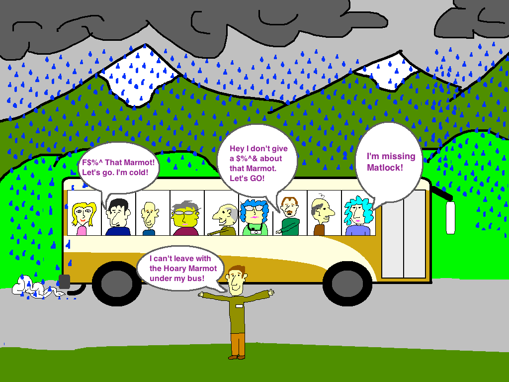 Bear Spray Bus Accident in Denali