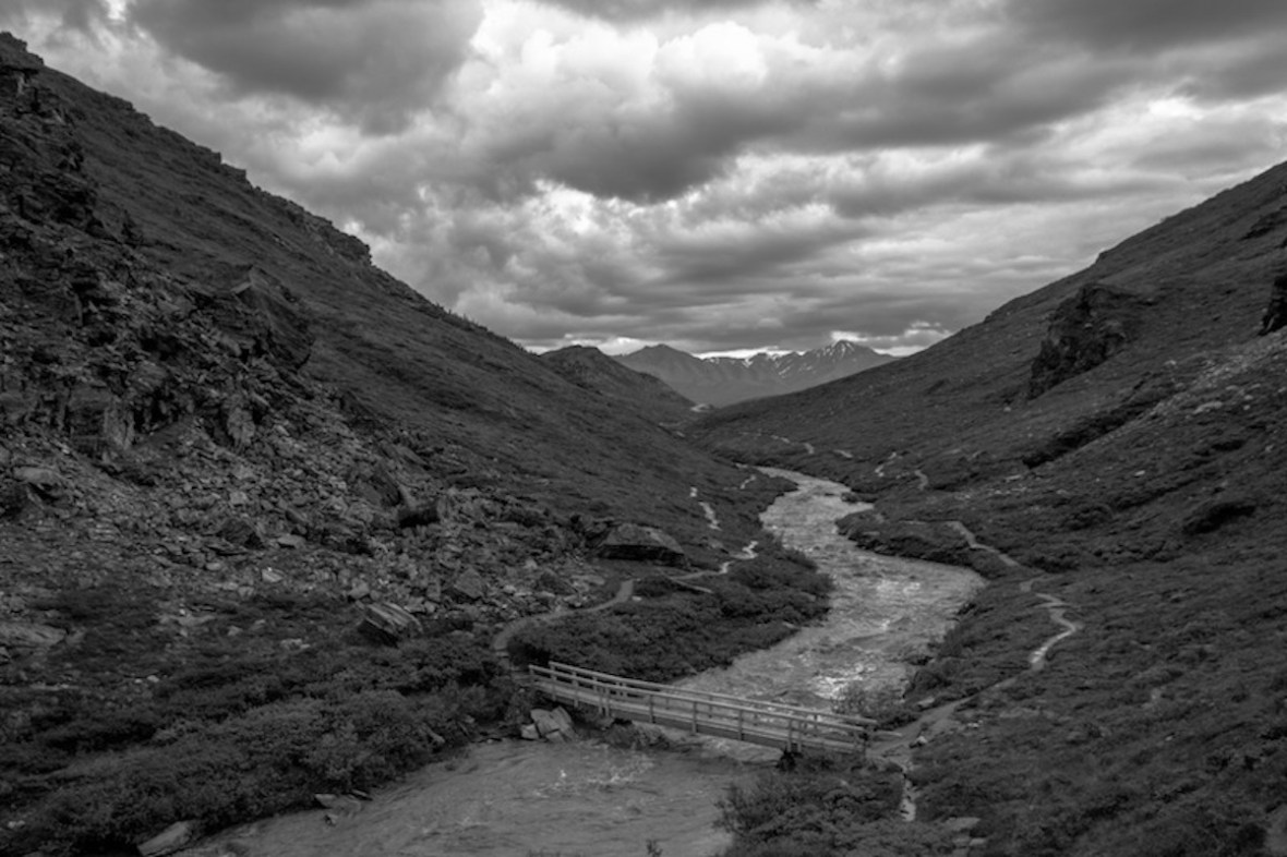 Savage River Black and White