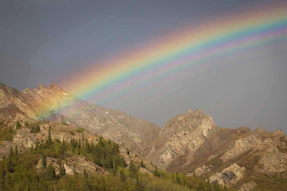 Denali Park Rainbow