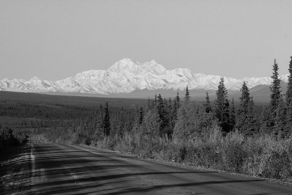 Mt. McKinley from the Denali Highway
