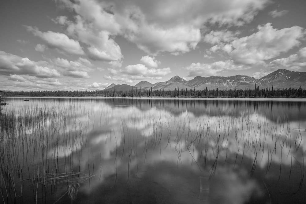 Denali Highway Lake