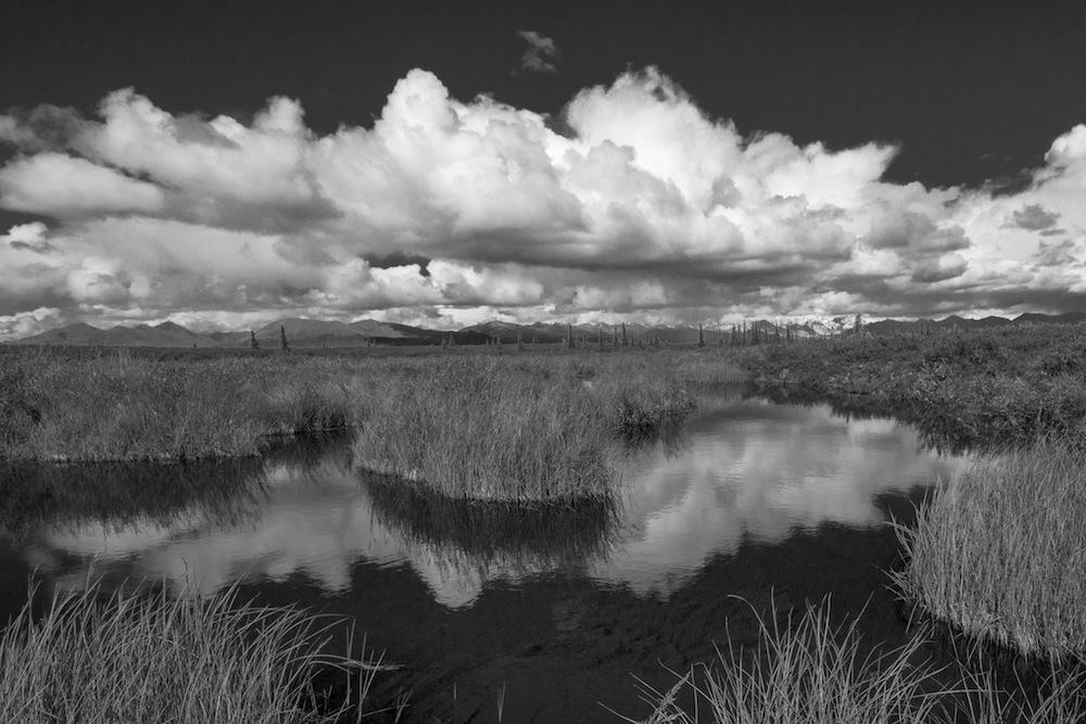 Clouds reflect in pond