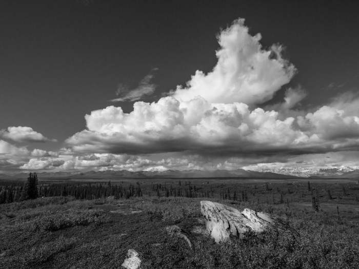 Denali Highway Alaska Range View