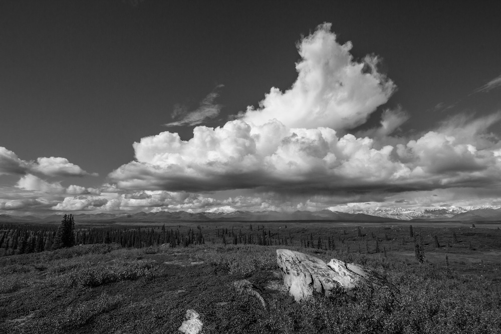 Denali Highway Alaska Range View