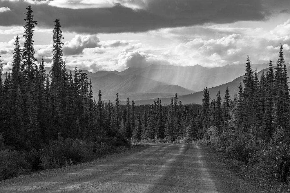 Denali Highway black white