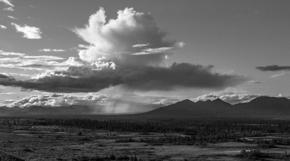 Denali highway black and white