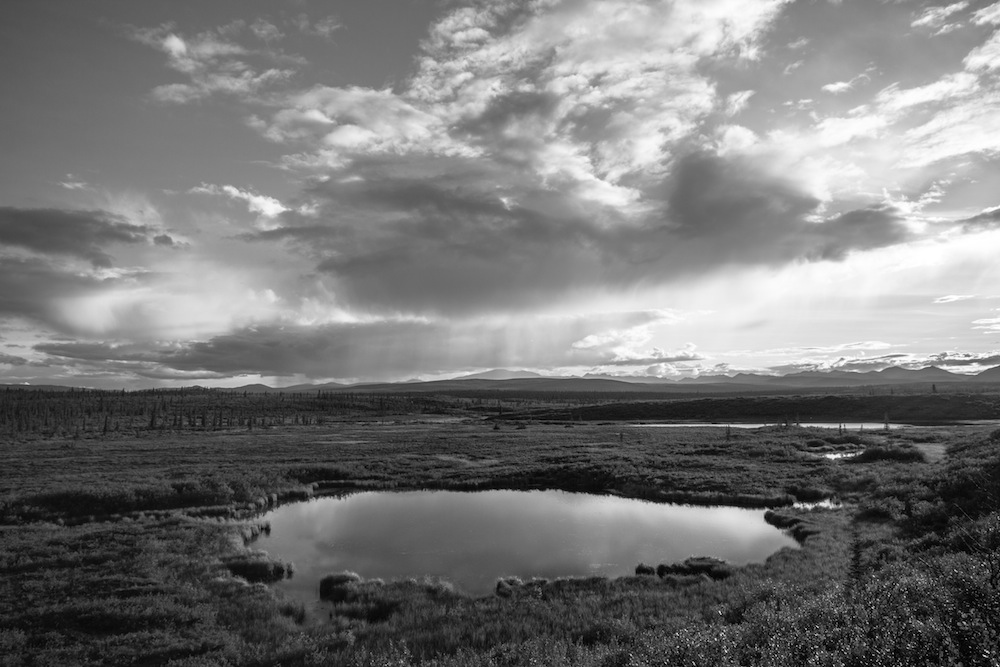 Denali Highway Pond