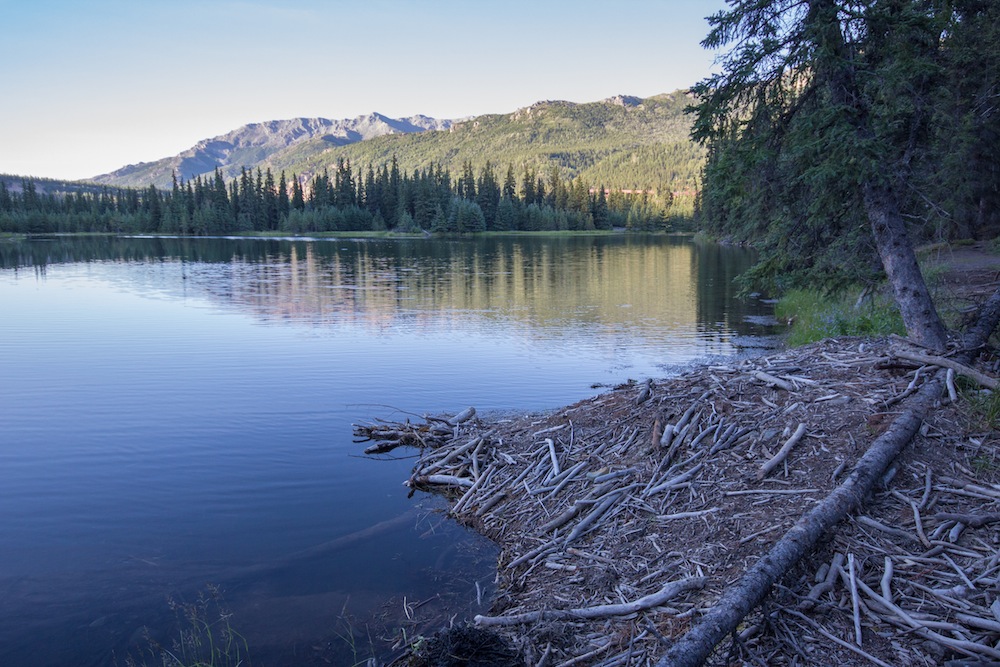 Beaver Lodge at Horseshoe Lake in Denali Park