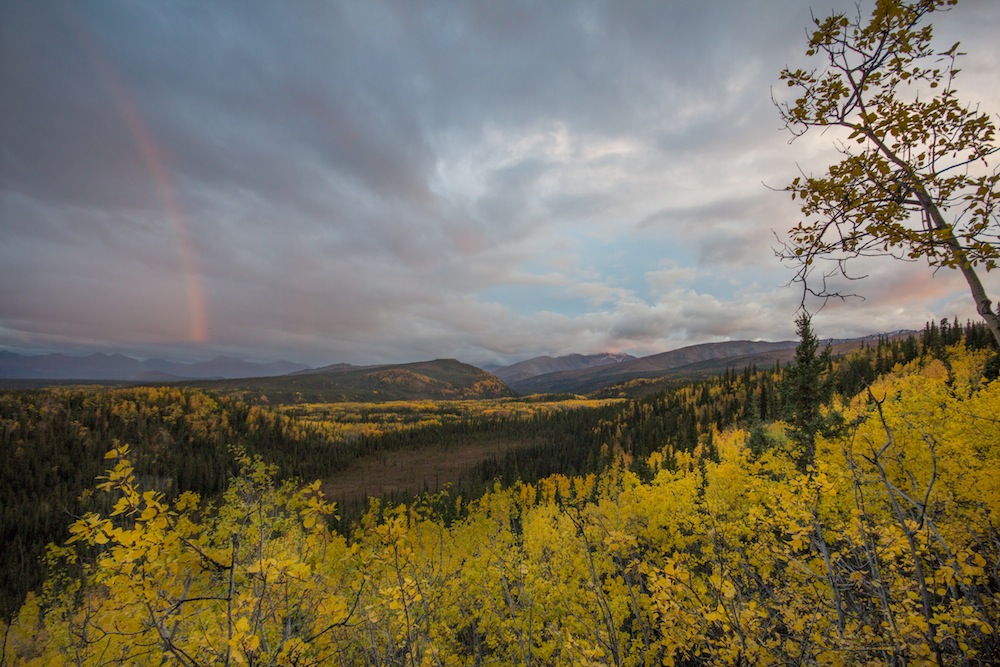 Sunset Rainbow in Denali