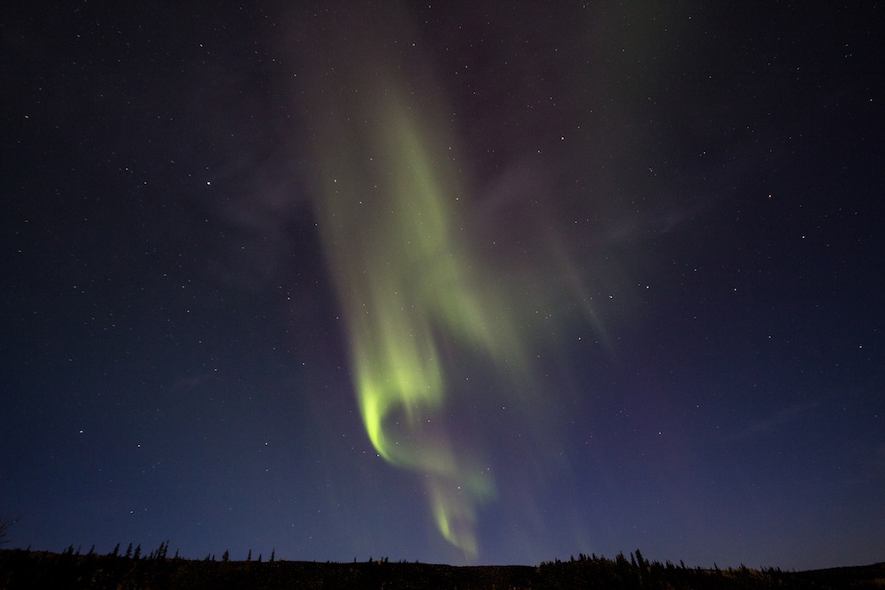 Aurora Borealis Near Denali