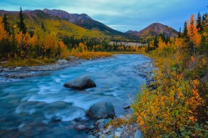 Riley Creek in the fall.