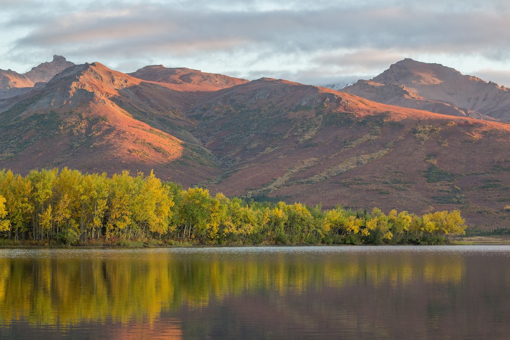 Otto Lake aspens and tundra