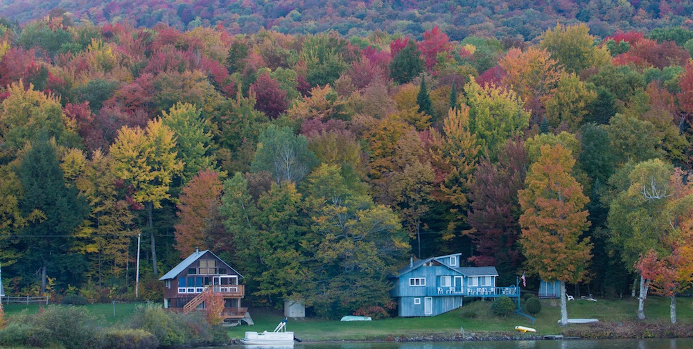 Houses on Lake Elmore