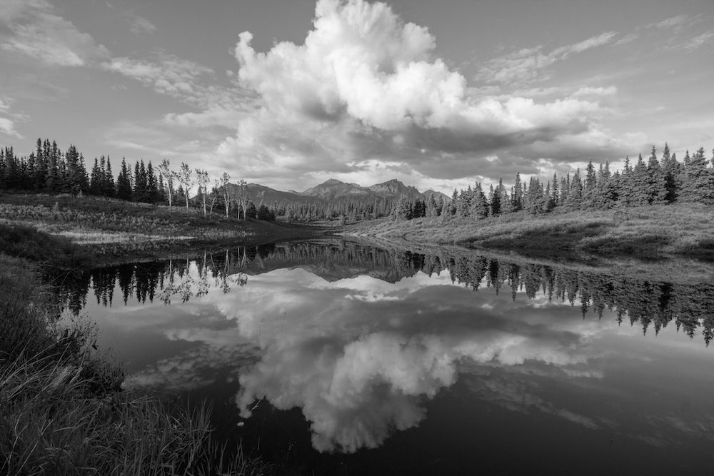 Lake in Black and White Denali Park