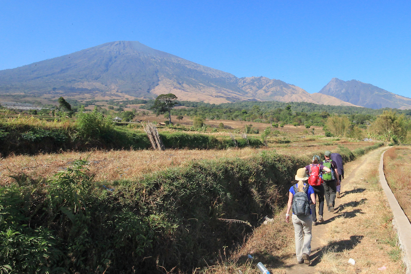 Trekking Rinjani