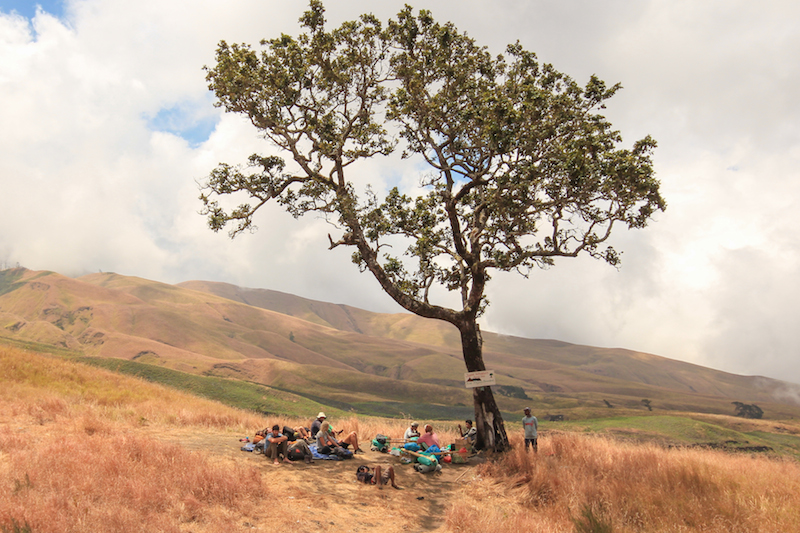 Rinjani Trekkers taking a break in under a tree.