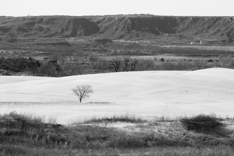 Little Sahara Sand Dunes