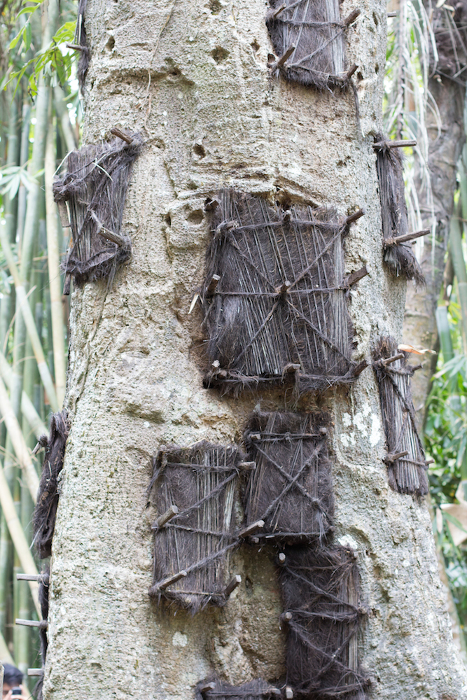 Tana Toraja Baby Grave
