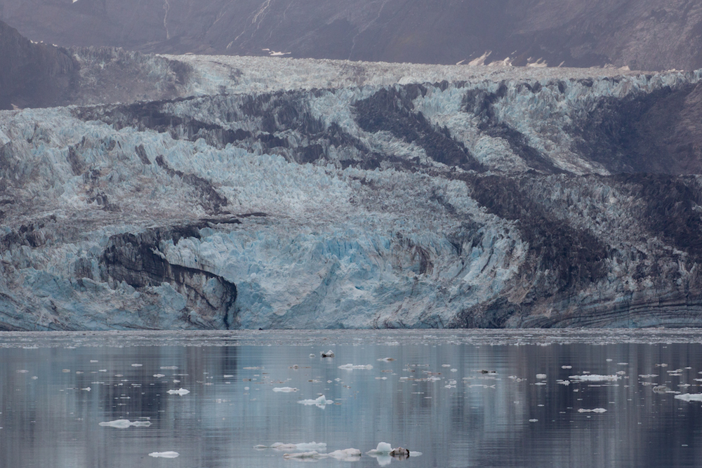 John Hopkins Glacier