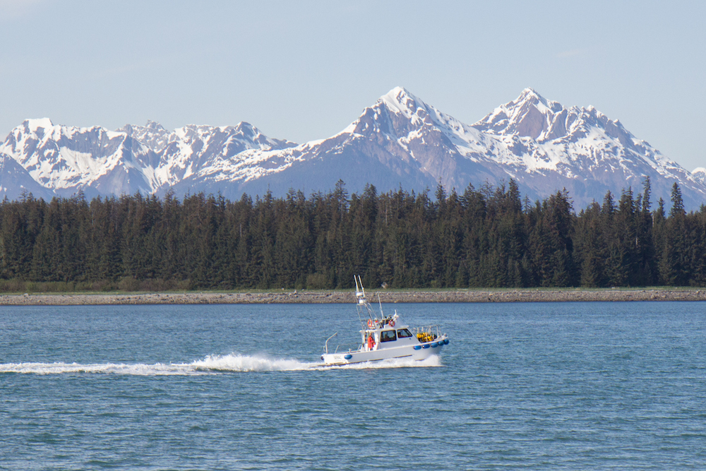 Boat in Bartlett Cove