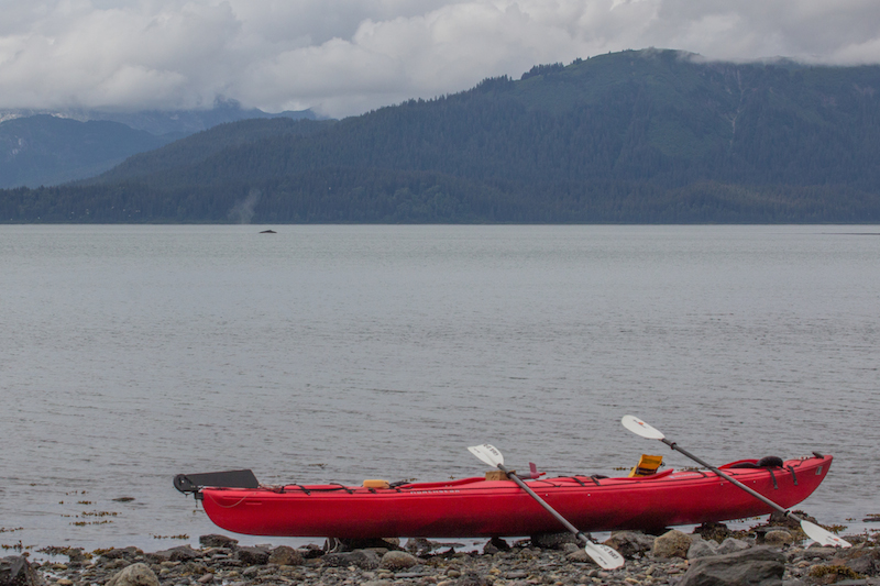 Glacier Bay Kayaking