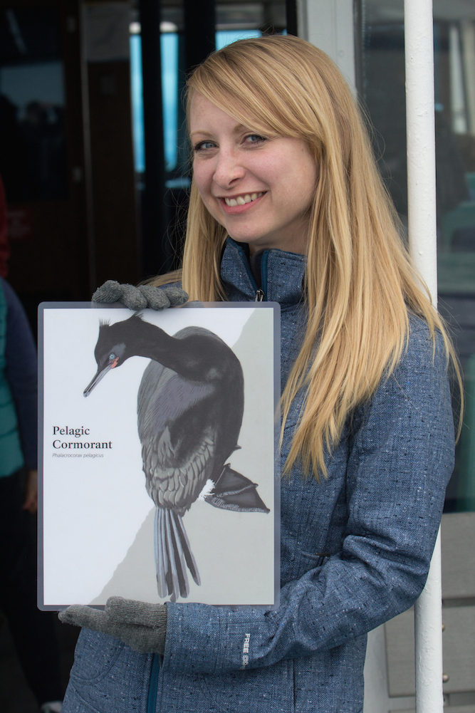 Junior Ranger Glacier Bay