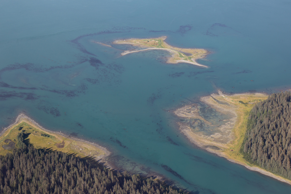 Beardslee from above