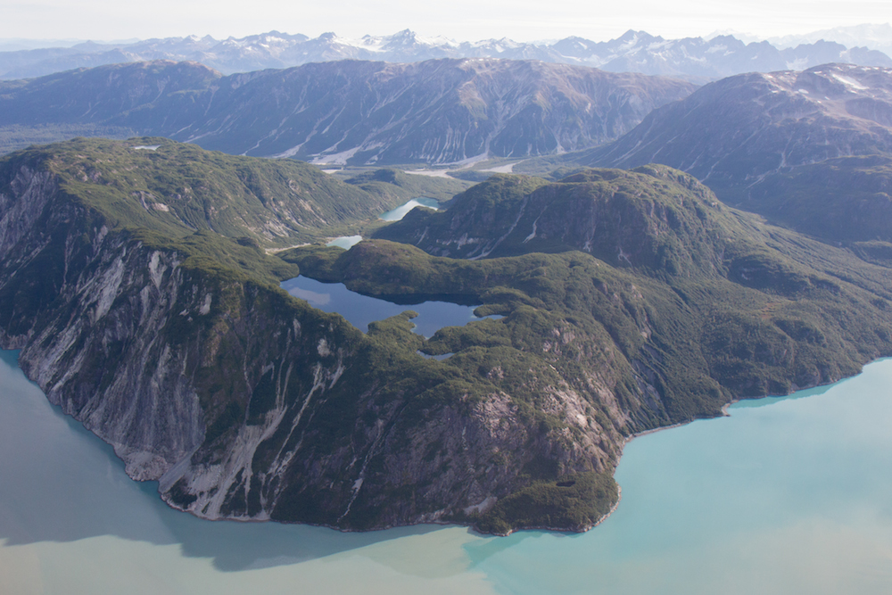 Glacier Bay East Arm