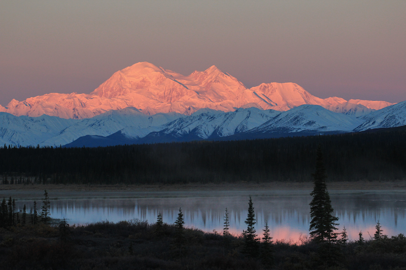 Denali from Broad Pass
