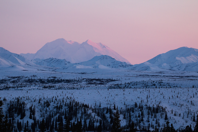 Denali from Savage River
