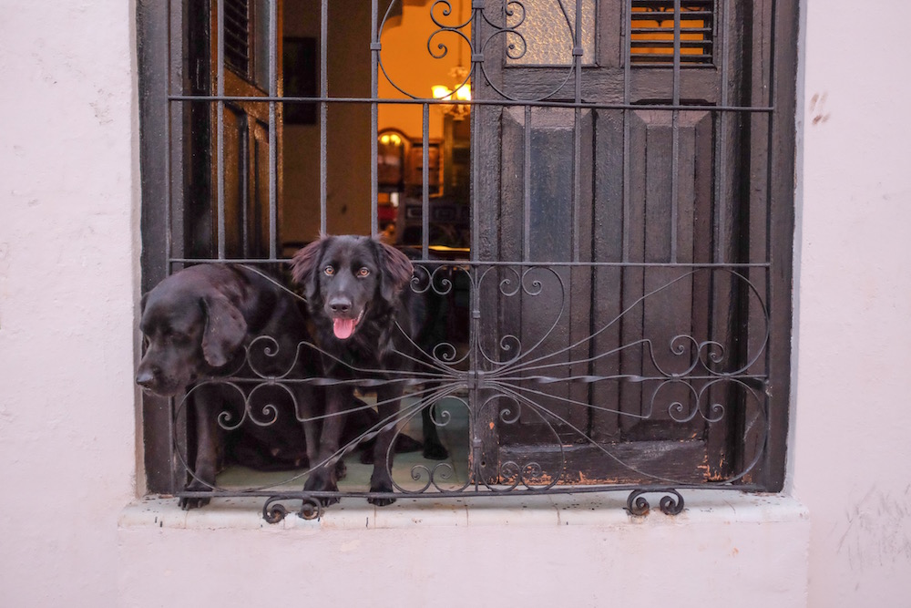 Mexico security system