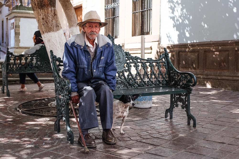 Mexico Street photo man with dog