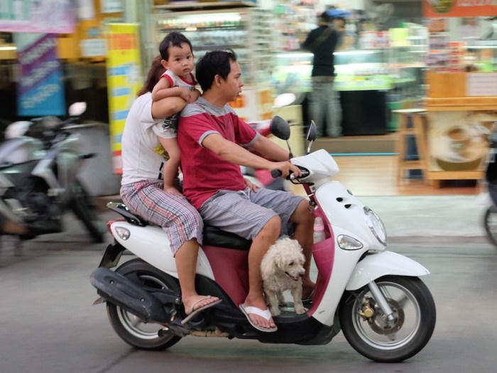 Family with Dog on Bike Bangkok