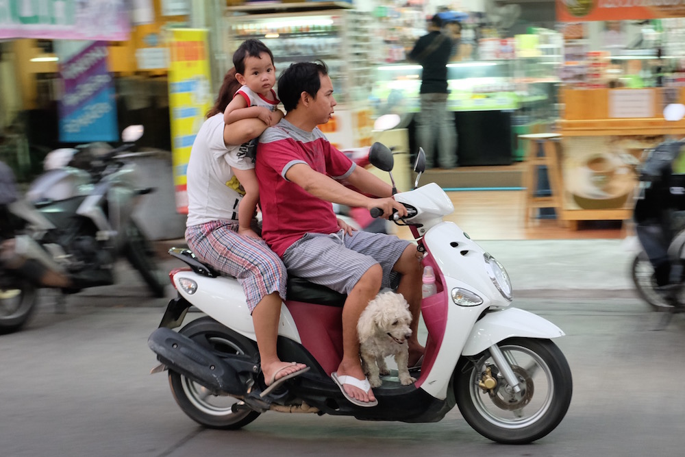 Family with Dog on Bike Bangkok