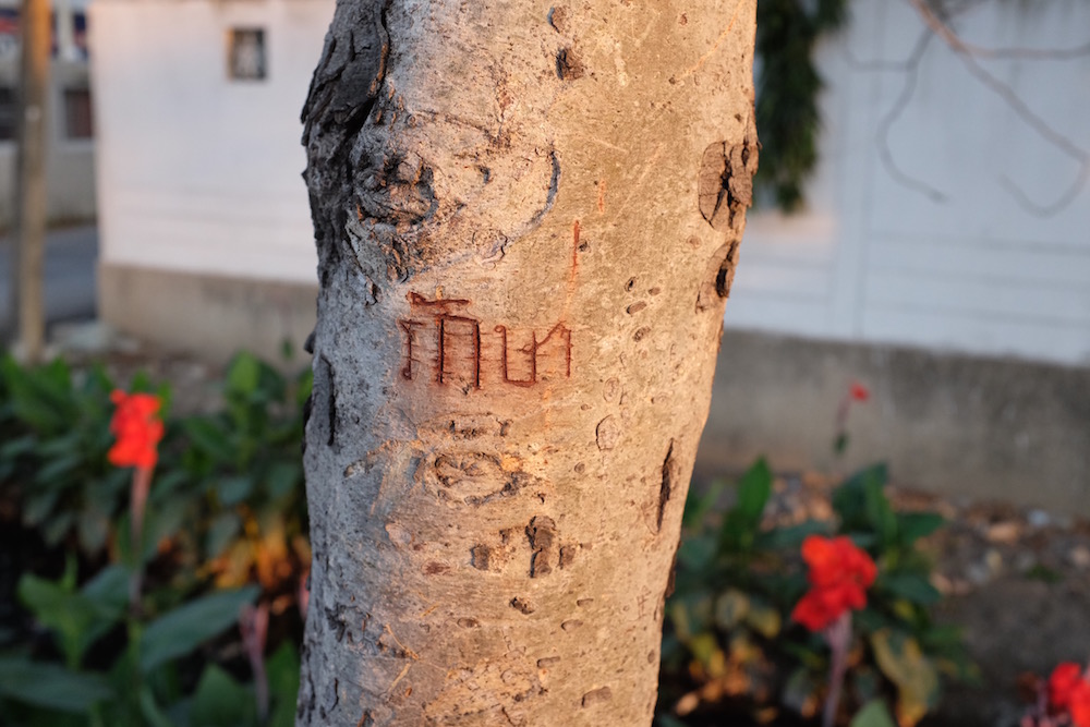 Thai name carved in a tree