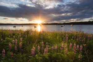 Glacier Bay Bartlett Cove sunset