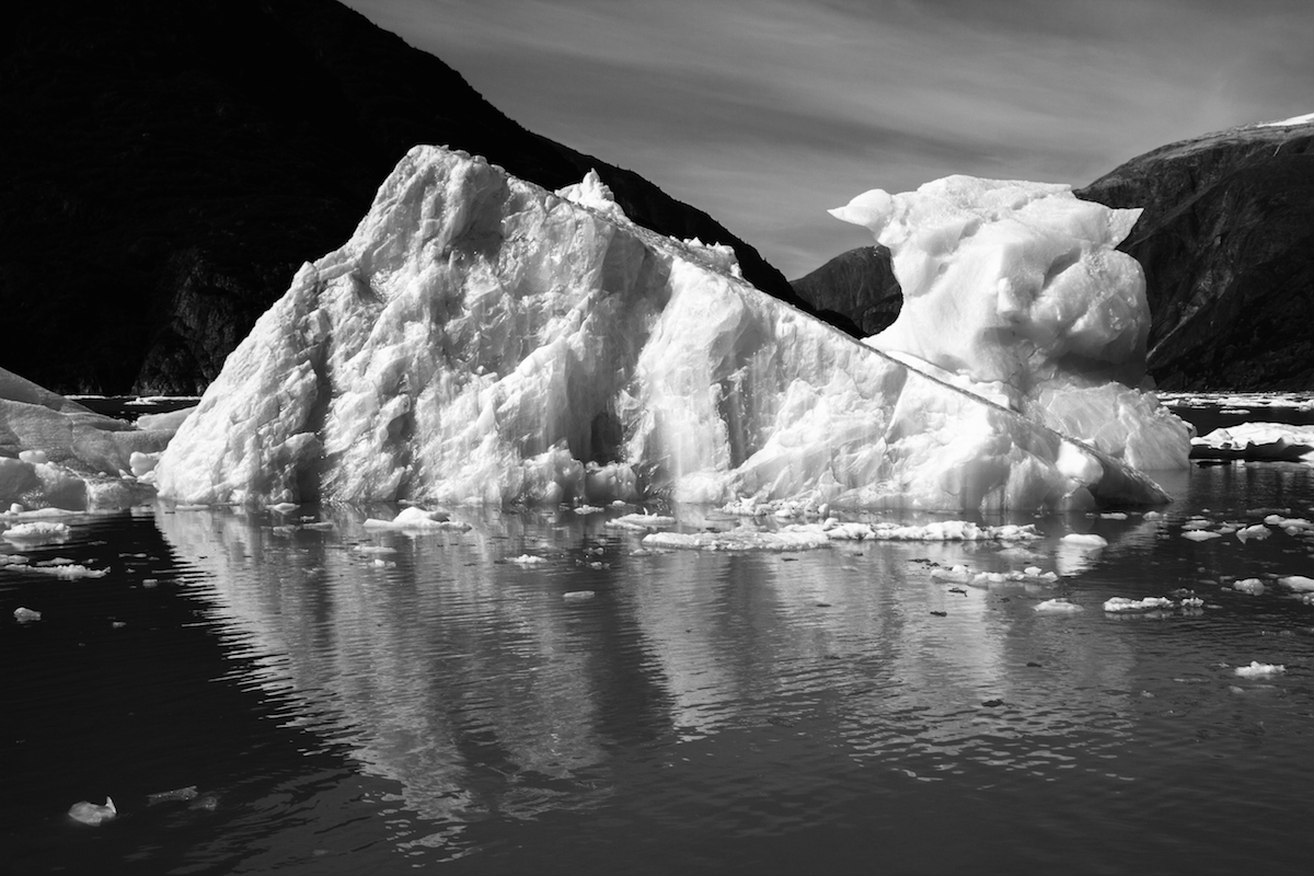 Iceberg in Tracy Arm black and white