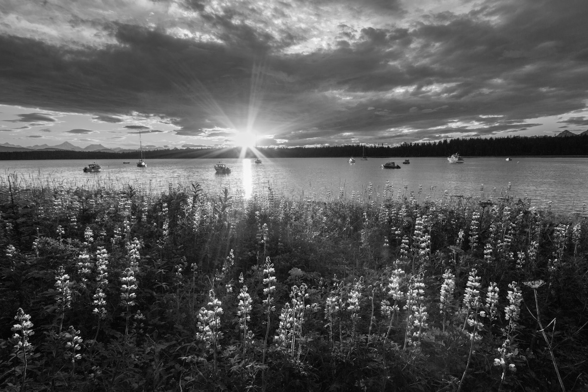 Bartlett Cove sunset