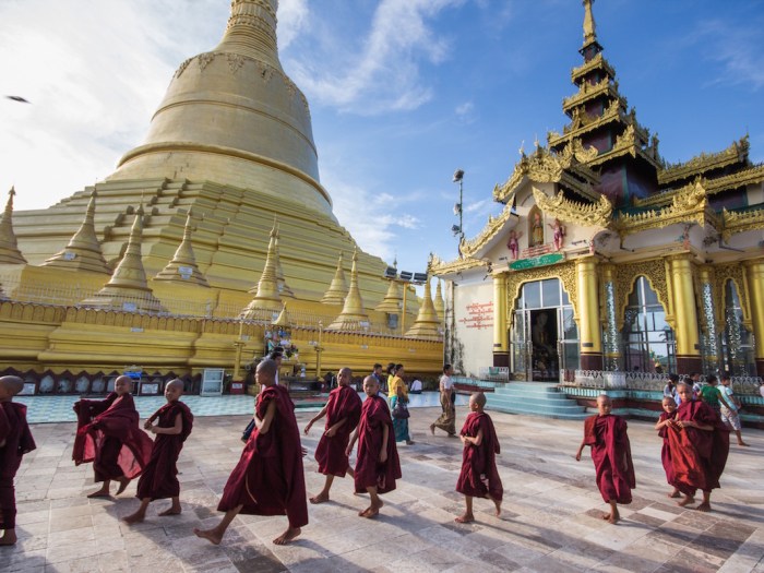 Myanmar monks